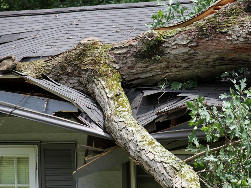 Storm Damage Restoration